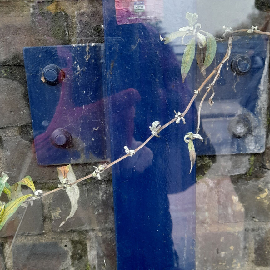 Blue Coat, Pink Glove